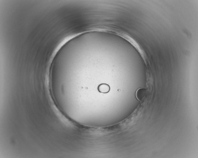 X0000115820811200911271136