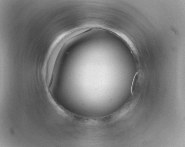 X0000115820815200911271136