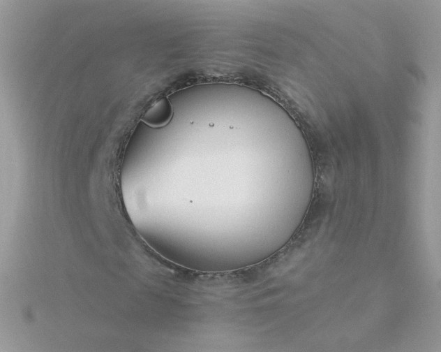 X0000115820817200911271135