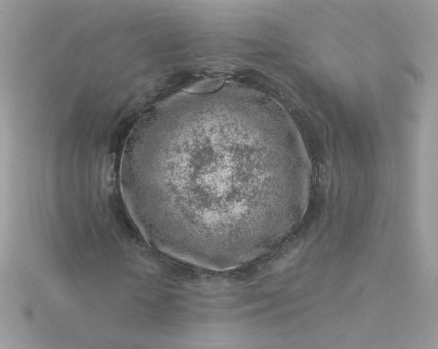 X0000115820818200911271135