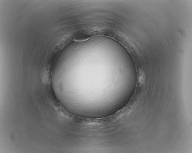 X0000115820819200911271135