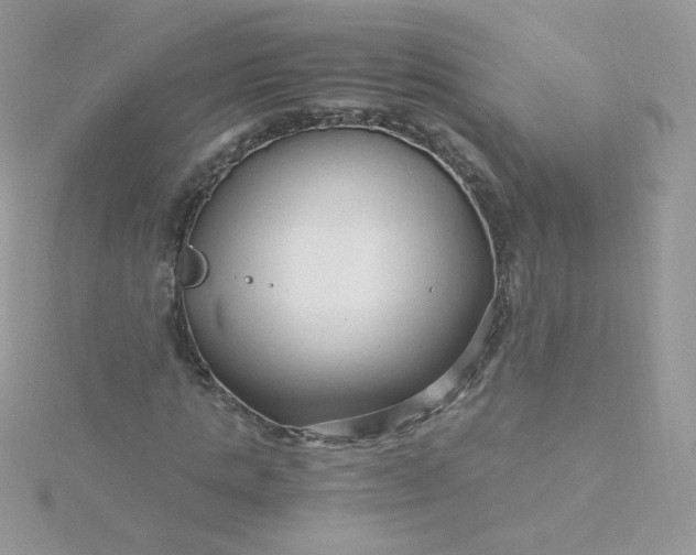 X0000115820821200911271135