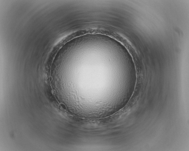 X0000115820823200911271135