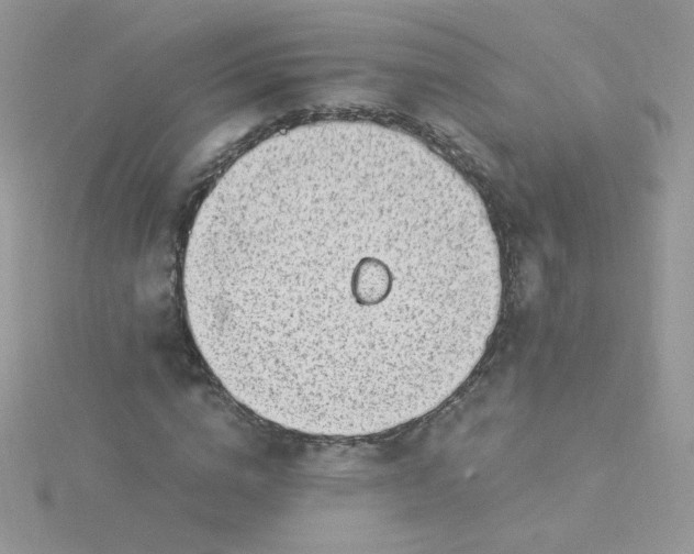 X0000115820824200911271135