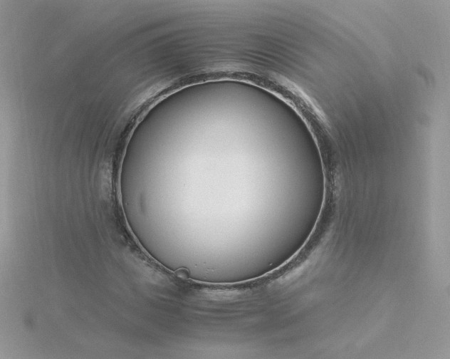 X0000115820825200911271135