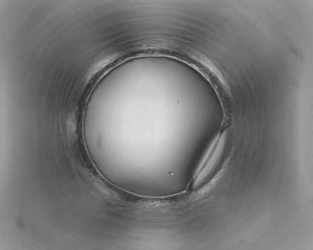 X0000115820826200911271135