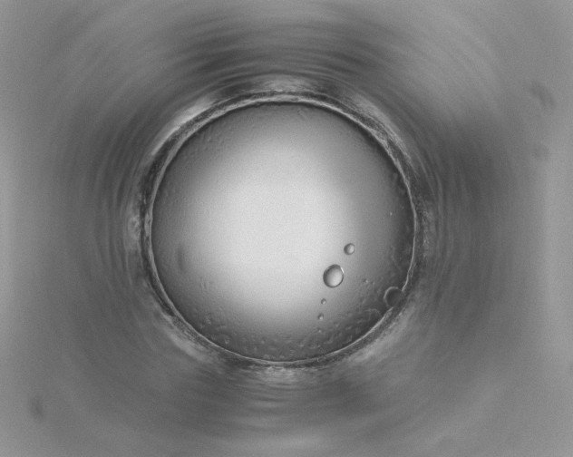 X0000115820827200911271135