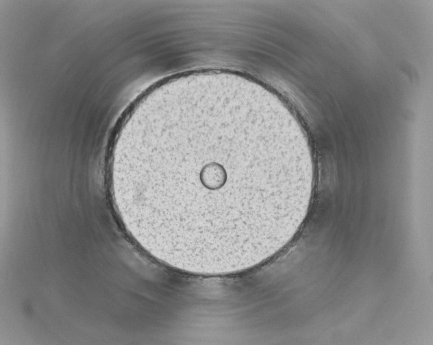 X0000115820828200911271135