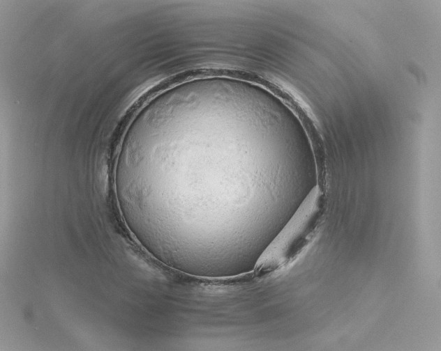 X0000115820829200911271135