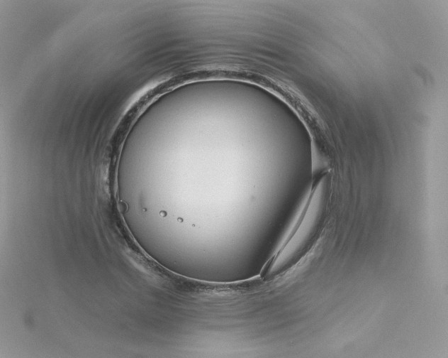 X0000115820830200911271135