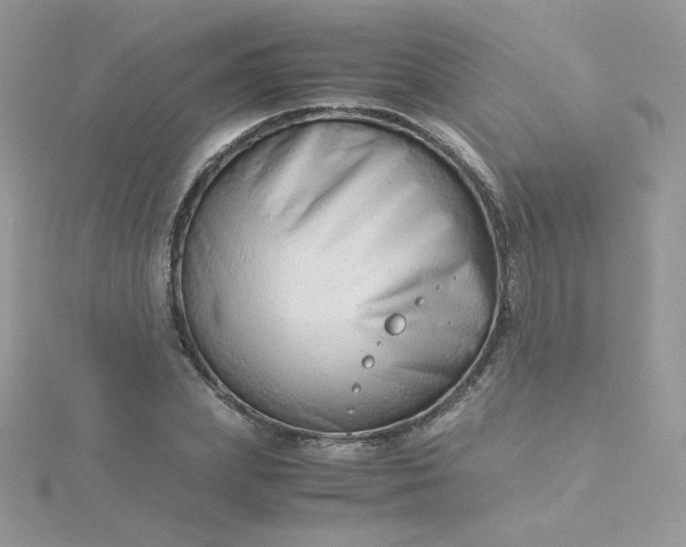 X0000115820831200911271135