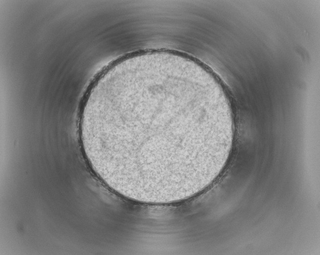 X0000115820832200911271135