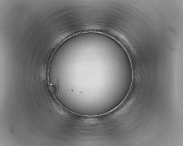 X0000115820833200911271135