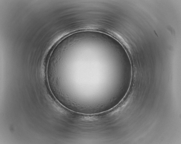 X0000115820835200911271135