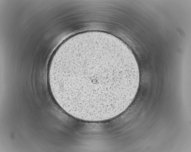 X0000115820836200911271135