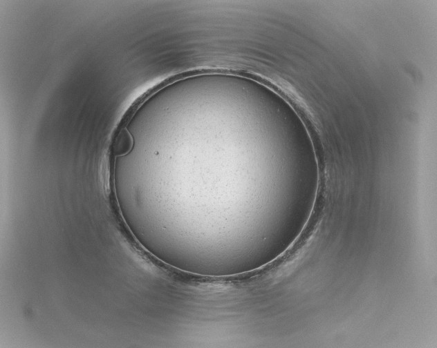 X0000115820838200911271135