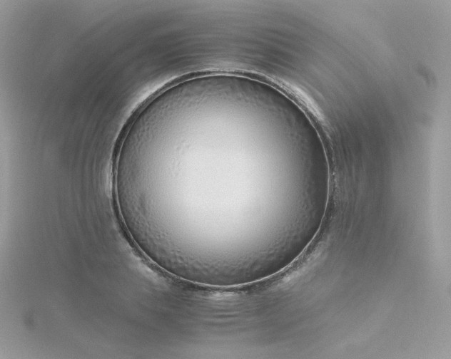 X0000115820839200911271136