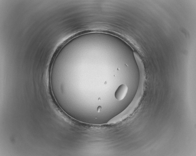 X0000115820840200911271136