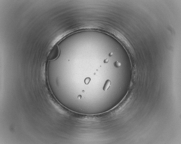 X0000115820842200911271136