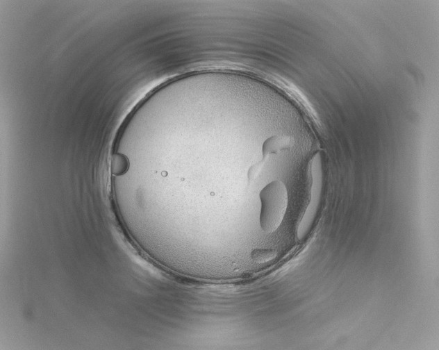 X0000115820844200911271136