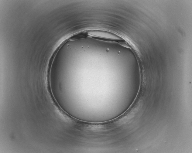 X0000115820845200911271136