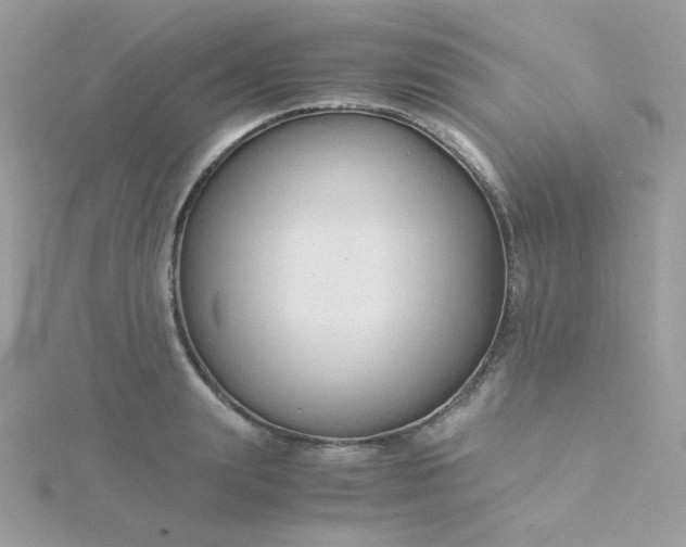 X0000115820847200911271136