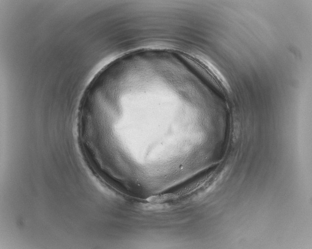 X0000115820853200911271136