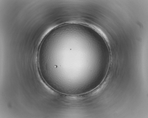 X0000115820855200911271136