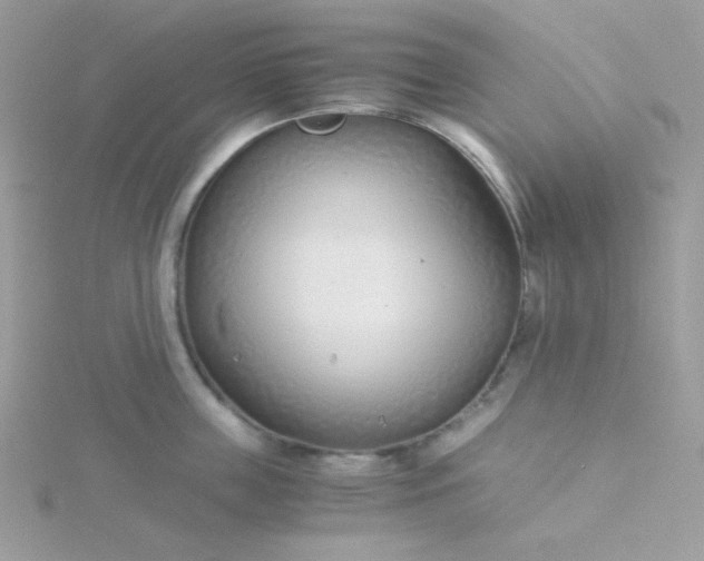 X0000115820859200911271136