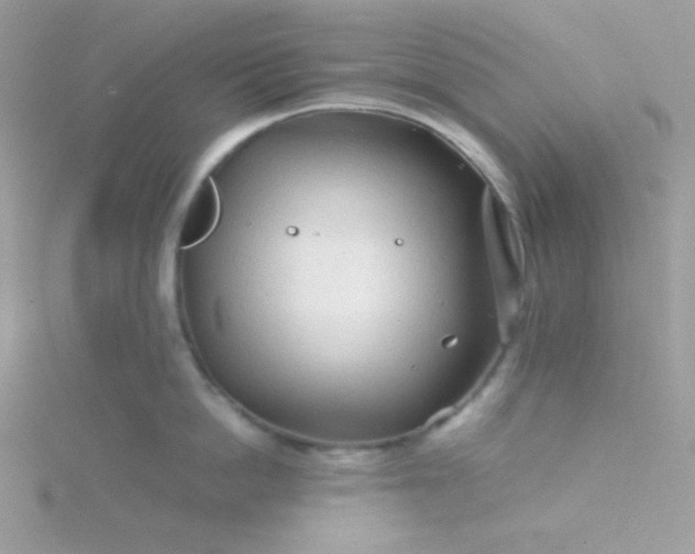 X0000115820862200911271136