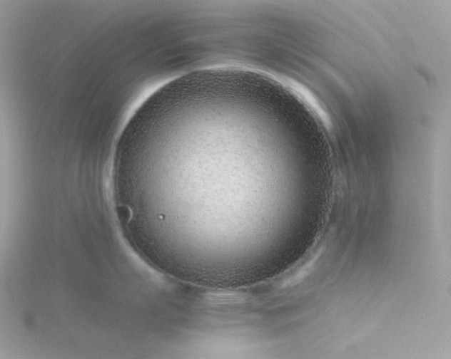 X0000115820863200911271136