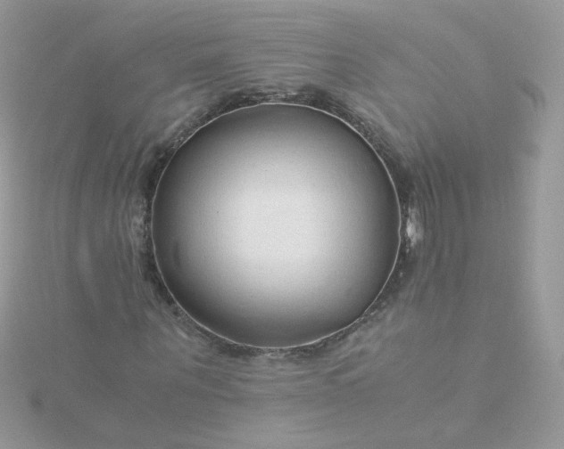 X0000115820867200911271135