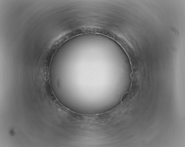 X0000115820870200911271135