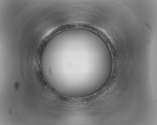 X0000115820871200911271135