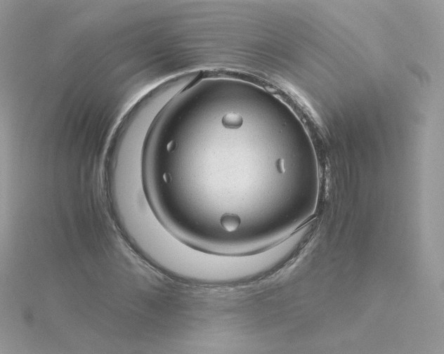 X0000115820876200911271135