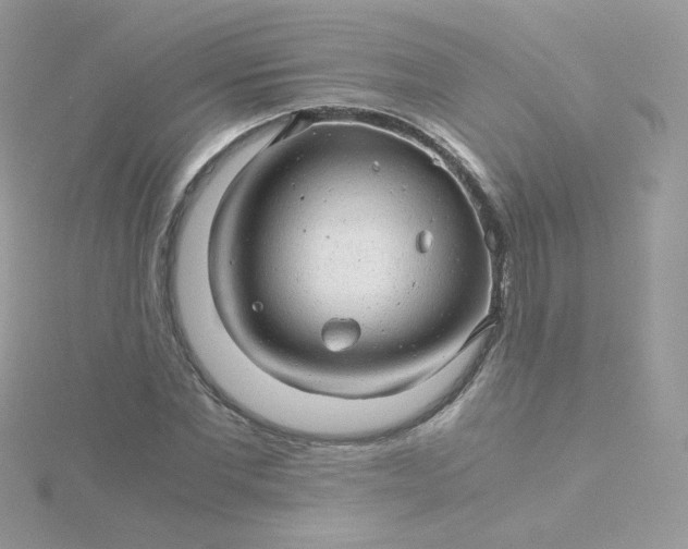 X0000115820877200911271135