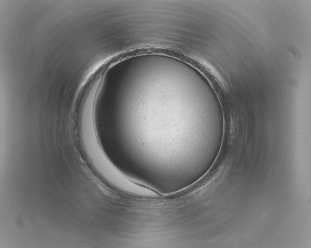 X0000115820878200911271135