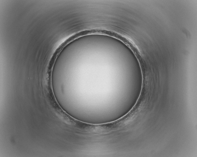 X0000115820879200911271135