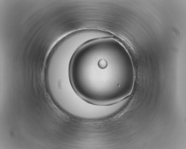 X0000115820880200911271135