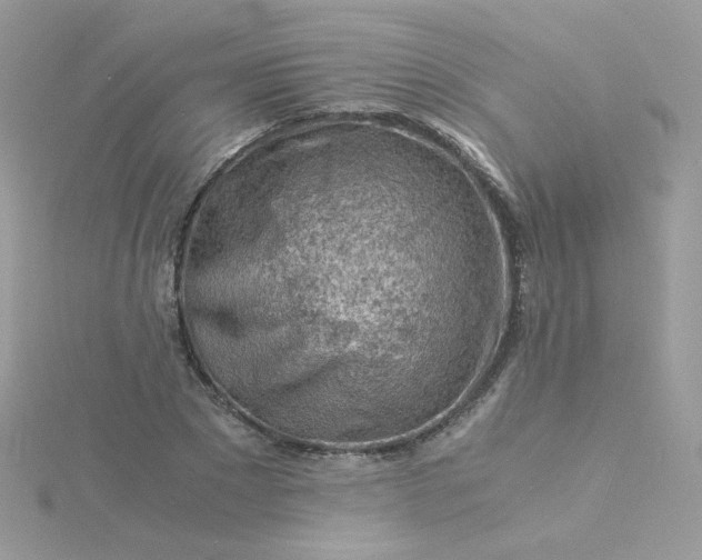 X0000115820881200911271135