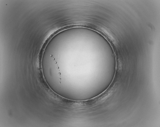 X0000115820883200911271135