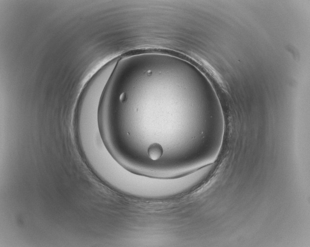 X0000115820885200911271135