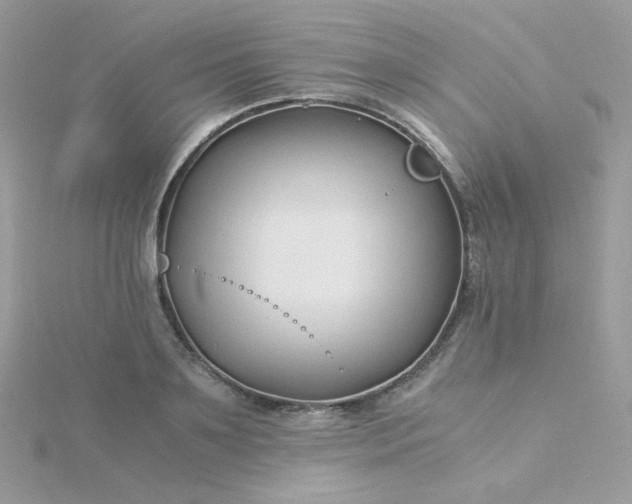 X0000115820891200911271135