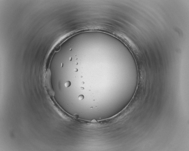 X0000115820894200911271135