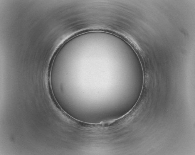 X0000115820895200911271135