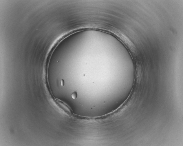 X0000115820896200911271135