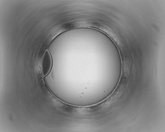 X0000115820897200911271135