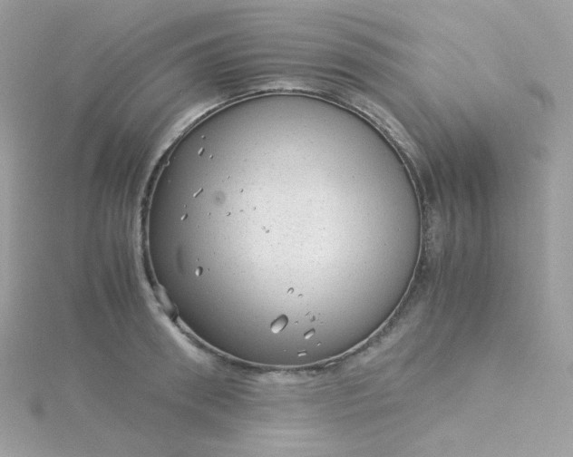 X0000115820898200911271135