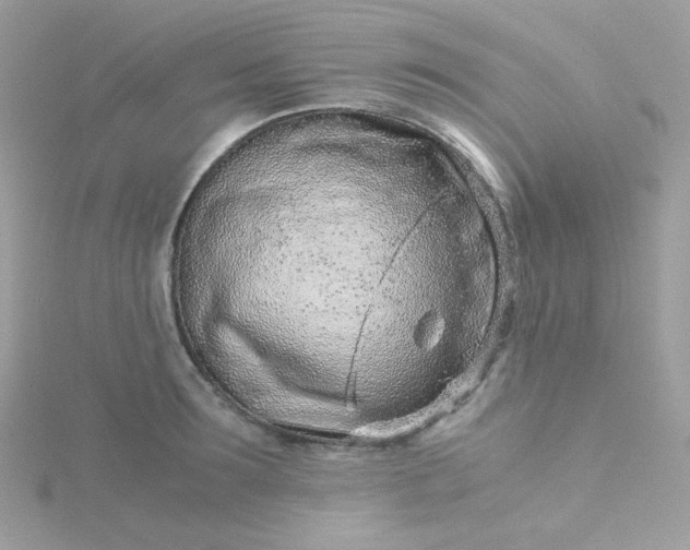 X0000115820899200911271135