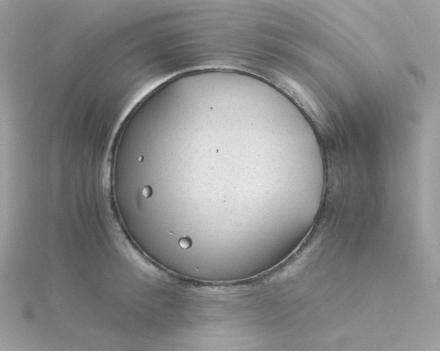 X0000115820900200911271135